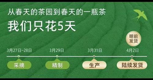 叶all头条,揭秘热点事件背后的真相与影响