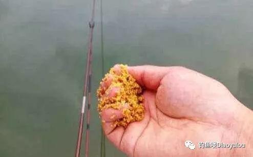 钓鱼怎么看窝料,从钓鱼技巧到窝料配方解析