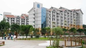 重庆科技学院吃瓜,校园吃瓜风云录