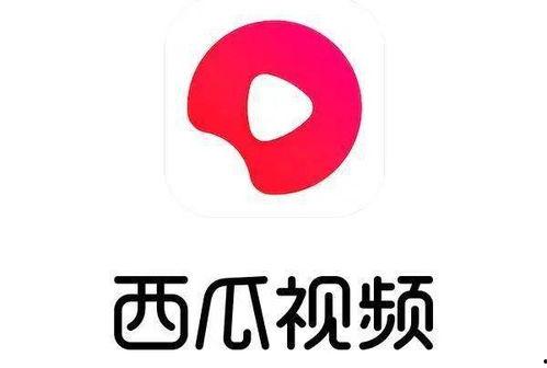 发西瓜和头条视频的区别,内容呈现与传播方式的差异解析