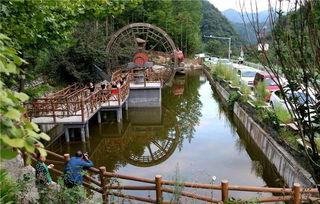 帐篷吃瓜,一场别开生面的户外盛宴