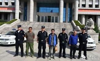 灵璧金庄乡新闻头条,金庄乡焕新颜，乡村振兴战略成效显著