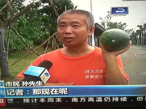 吃瓜各种热门事件群,盘点近期热门事件风云录