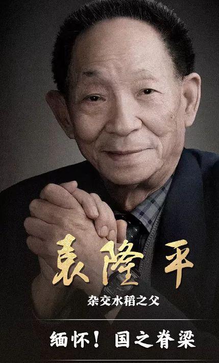 老明星 概览,岁月流转中的璀璨星光