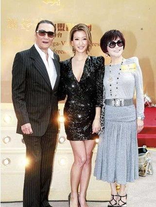 明星潜质规则系列,解码演艺圈成功密码