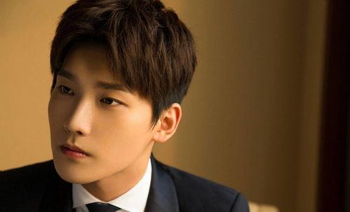 明星排行榜邢昭林,当红小生崛起，魅力四射的演艺之路