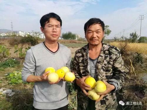 金梓吃瓜,揭秘娱乐圈幕后故事