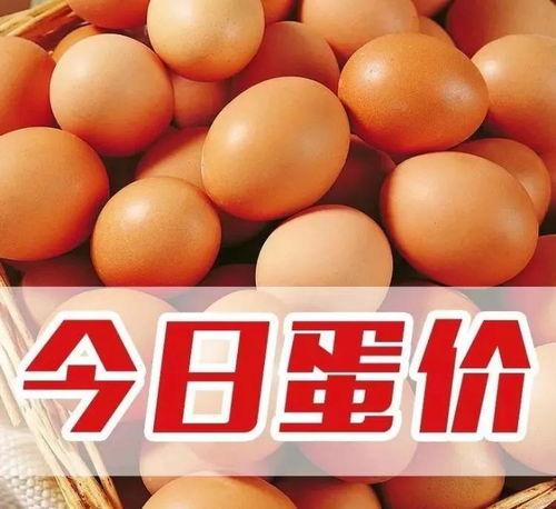 头条小店卖土鸡蛋吗,土鸡蛋的绿色家园