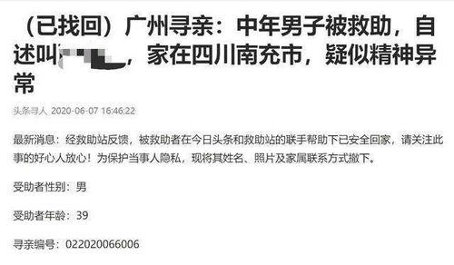 头条信息闯,聚焦时事热点，解码社会现象