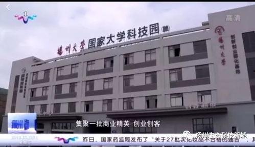 大庆新闻头条东城百货,大庆市民争相体验