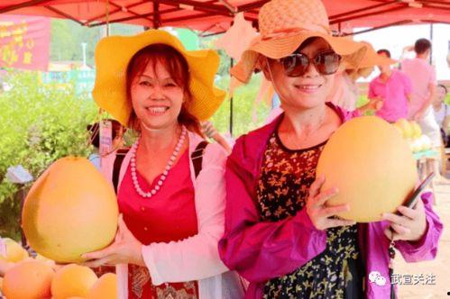 赏花吃瓜纳凉,四季休闲生活指南