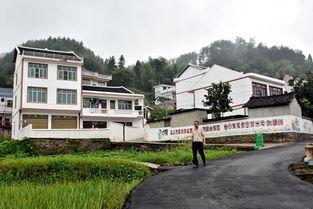 青溪头条,聚焦热点，解码社会脉动